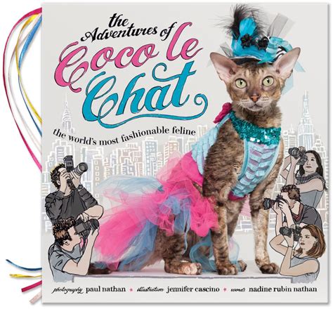 coco meet chat